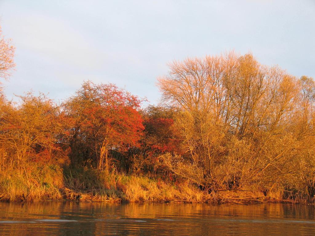 Bed And Breakfast De Biesbosch - In 'T Riet ดริมเมอเลน ภายนอก รูปภาพ